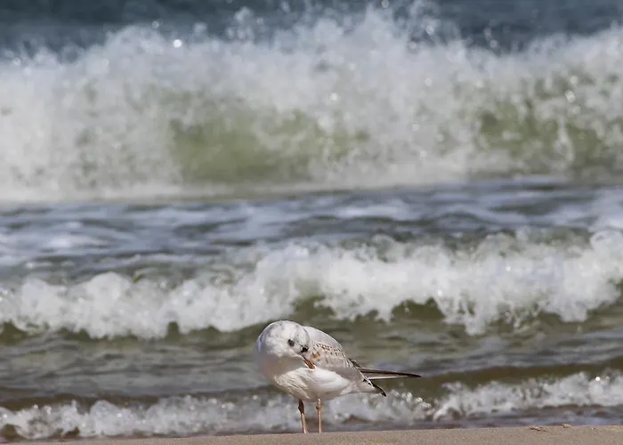 Caro Prázdninový areál